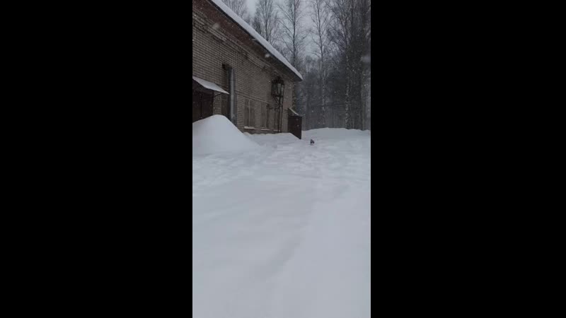 VID_20210226_120509.mp4