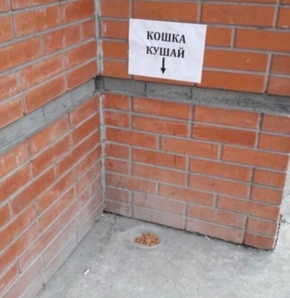 Zабор Ростов-на-Дону