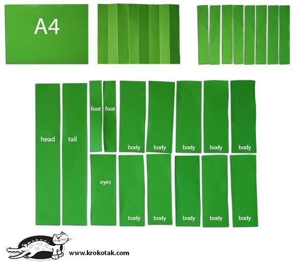 БУМАЖНЫЕ КРОКОДИЛЫ Понадобятся:- Лист цветной плотной бумаги формата А4,- Клей, ножницы, фломастер,- Полоска белой бумаги (для зубов).Сложить лист в гармошку, сделав так, чтобы получилось 8