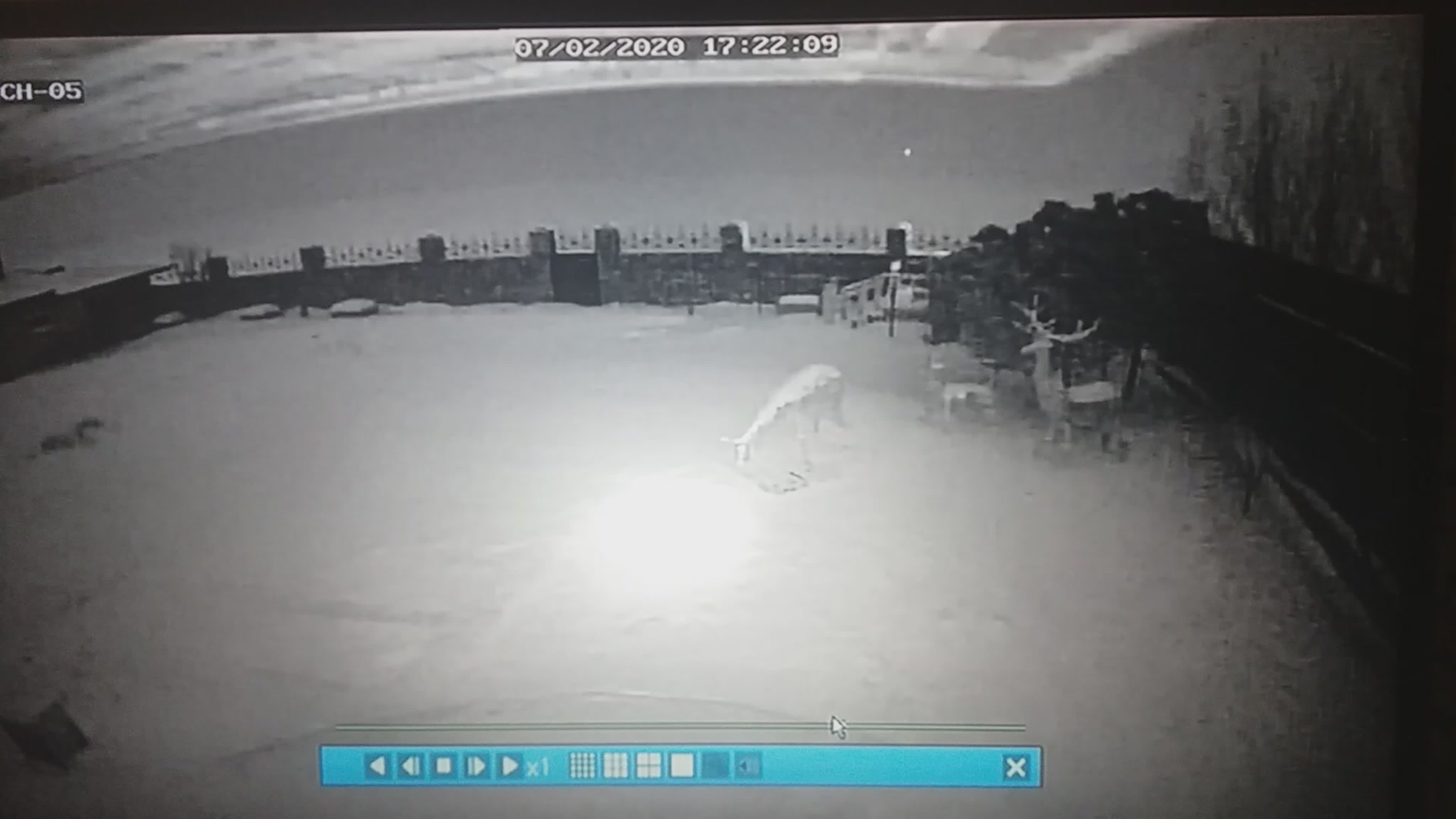 Укрк арена-2000-локомотив. Падение самолёта снятое на камеру. Катастрофа самолет камера видеонаблюдения. Видео с камер как упала арена. Видео с камер как упала арена.