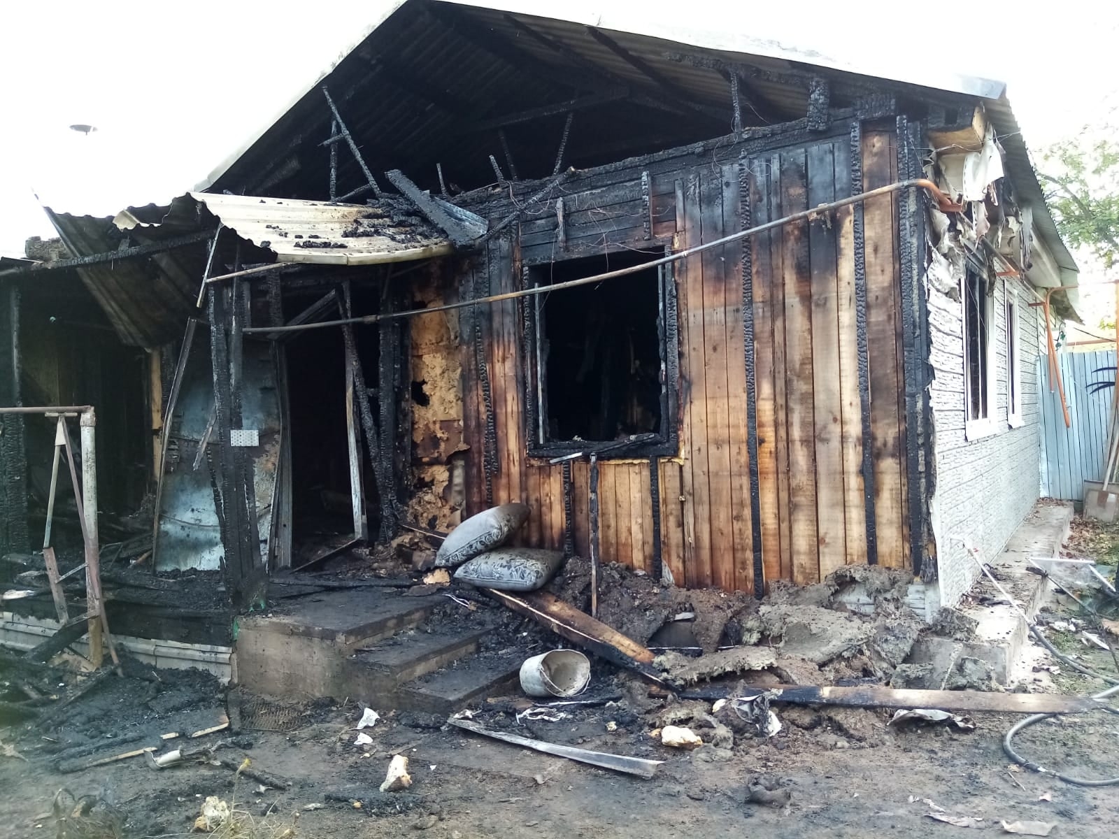 Сегодня утром в моей семье произошло страшное горе!