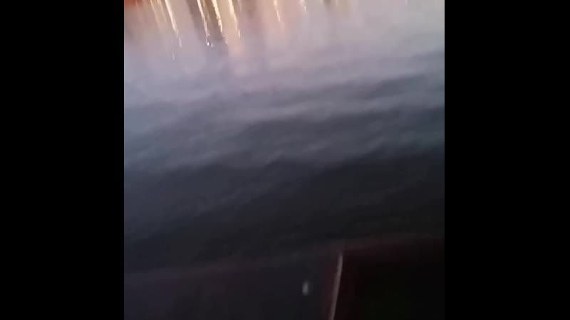 VID_21910823_081810_598.mp4