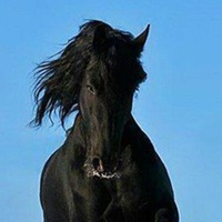 Фотография Александра Тодорчика ВКонтакте