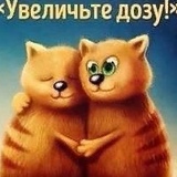 Маргарита Мик : профиль, фото, статус - ВКонтакте
